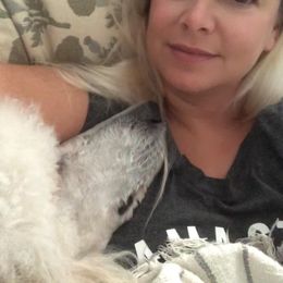 Poodle Puppies from Ocala Standard Poodles