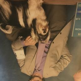 Biewer Terriers from Ravenwood Farm