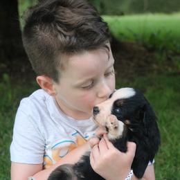 George Washington - Black tri-color male Australian Shepherd puppy in Smicksburg, Pennsylvania from Zaneca Aussies