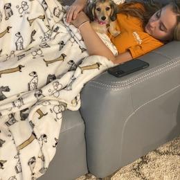 Dachshund Puppies from Meadow Ridge Dachshunds