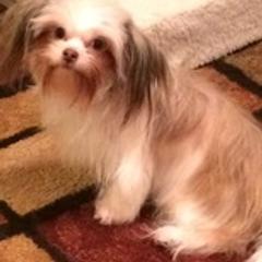 Mi-Ki All Grown Up from Jubilee Mi-Ki's