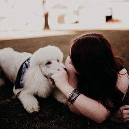 Piper - Poodle