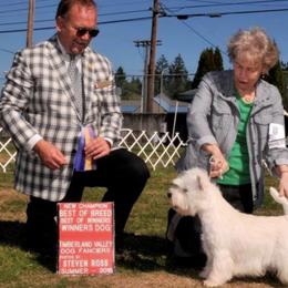 West Highland White Terriers from Windyridge Westies