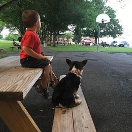 Pembroke Welsh Corgi Puppies from Annwyl McCorgis