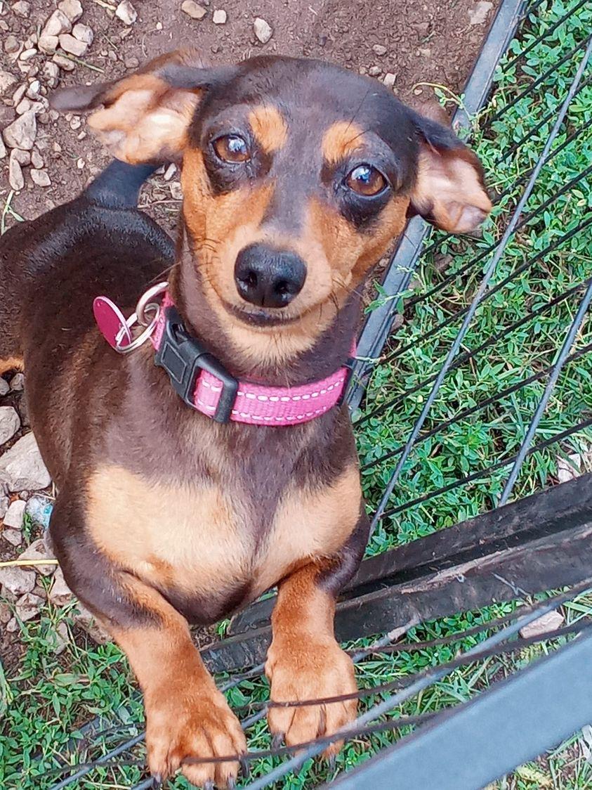 Molly