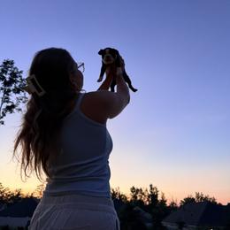 Boston Terrier Puppies from Liliya Hellams