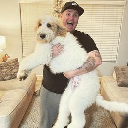 Sheepadoodles from Sheepadoodles in Bakersfield