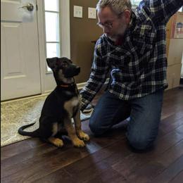 German Shepherd Puppies from Frankenhaus German Shepherds