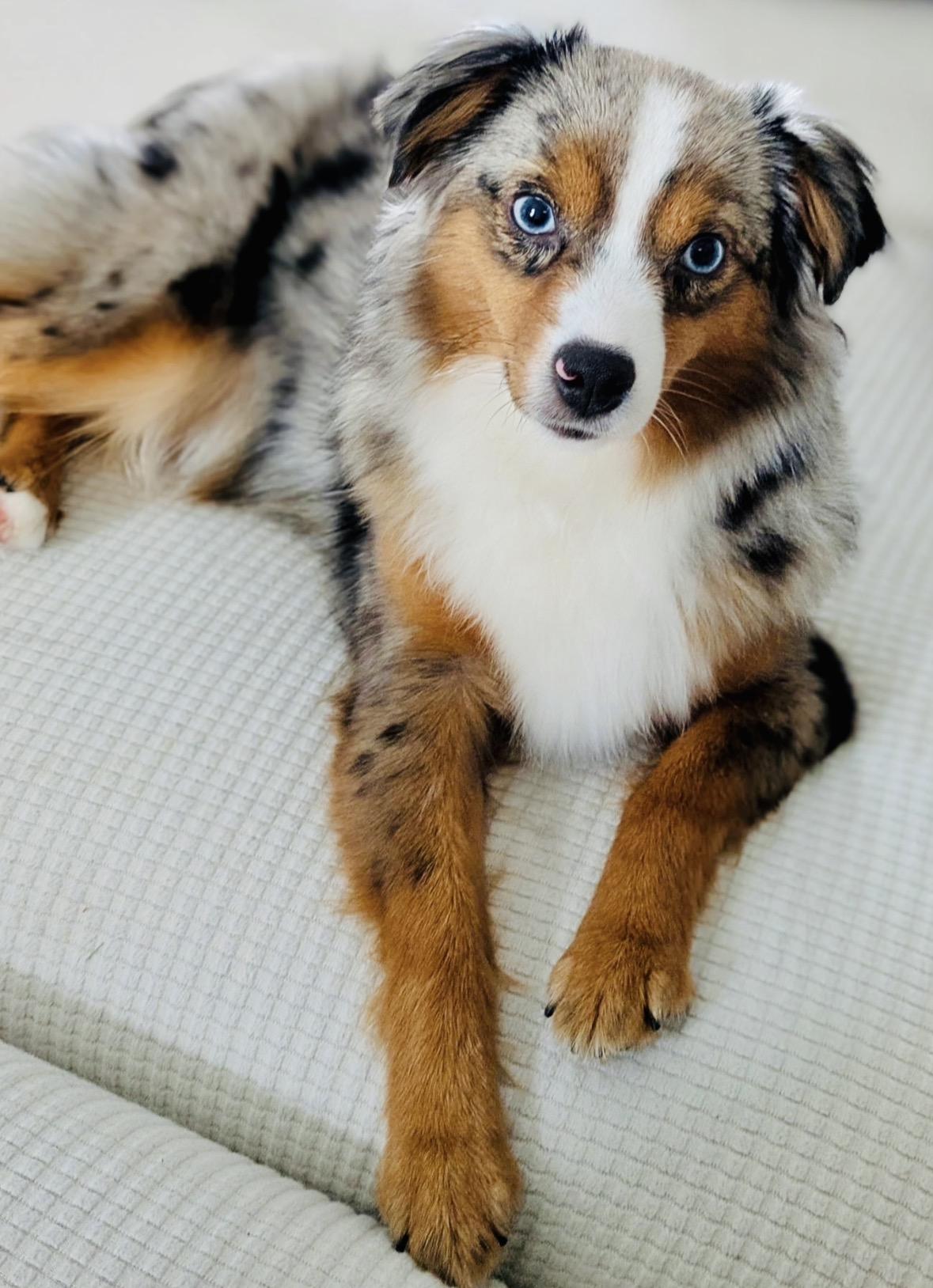 Kaylee