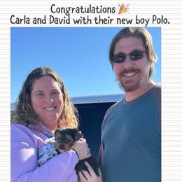 Biewer Terrier and Yorkshire Terrier Puppies from Southeast Biewers
