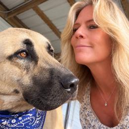 Bandit - Anatolian Shepherd Dog