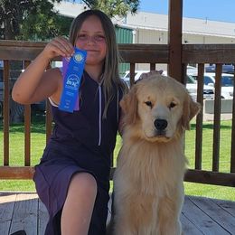 Pants - Golden Retriever