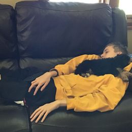 Bernedoodle Puppies from Mini Bernedoodle Babies- Indiana