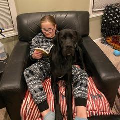 Lagotto Romagnolo and Pointer All Grown Up from RaceCity