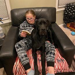 Lagotto Romagnolo and Pointer All Grown Up from RaceCity