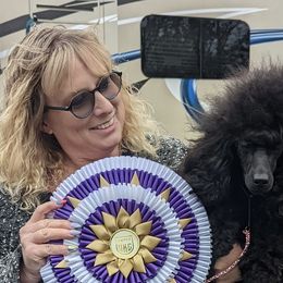 Jett - Poodle