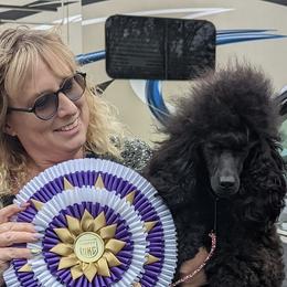 Jett - Poodle