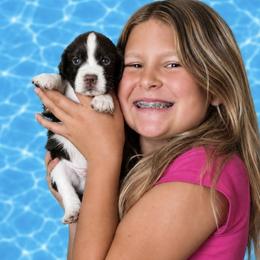 Davy - Liver and white male English Springer Spaniel puppy in Fort White, Florida from Thunderbird Springers