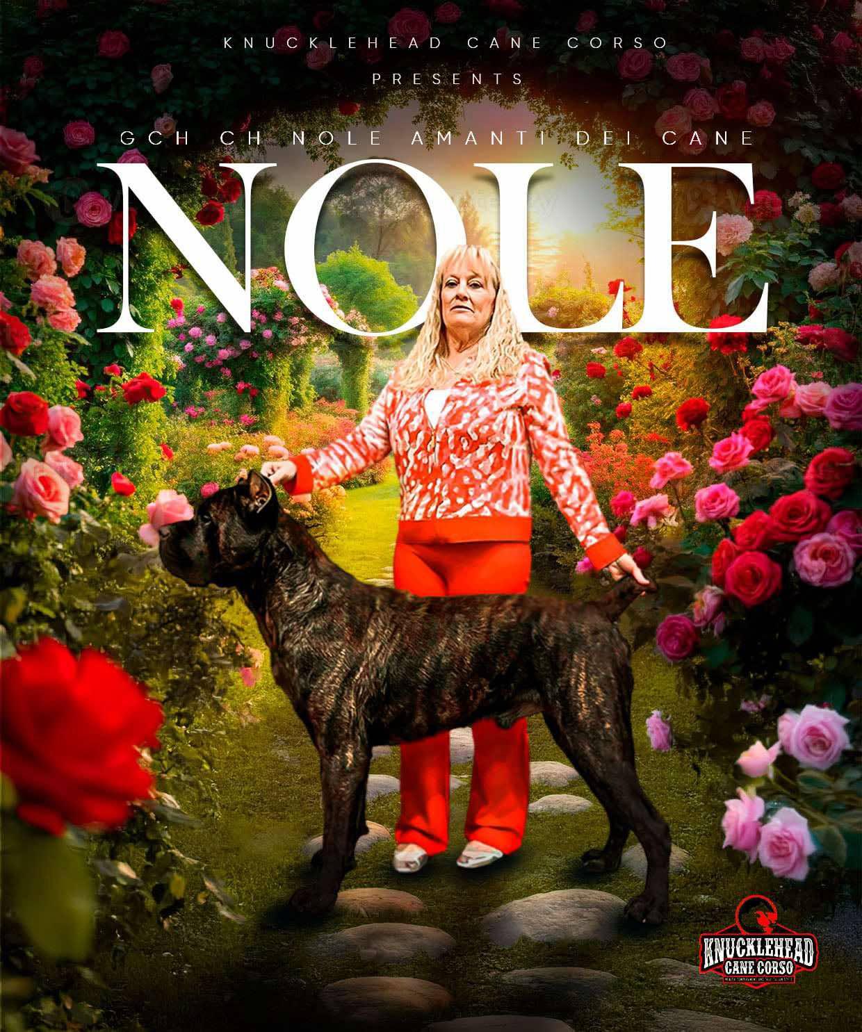 Nole