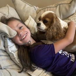 Cavalier King Charles Spaniel Puppies from Mapleview Cavalier King Charles Spaniels