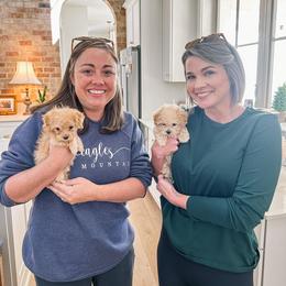 Maltipoo, Poodle, and Shihpoo Puppies from Doodle Lane - Toy Doodles Alabama