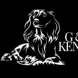 Dachshunds from G & G Kennel