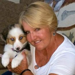 Pembroke Welsh Corgi All Grown Up from Robbie's Hobby Corgi's