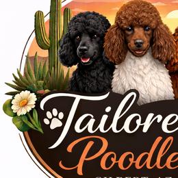 Poodles from Tailored poodles