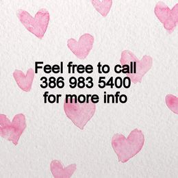 Maltese puppies from Boshi Maltese