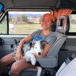 Border Collie Puppies from Cascade Sun Kennels