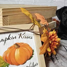 Labrador Retrievers from Tsuki Labradors