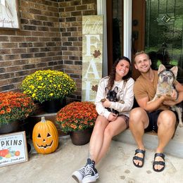 French Bulldog Puppies from Jolie Frenchies