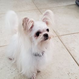 Elsa - Mi-Ki