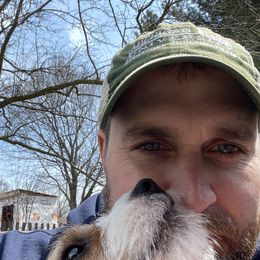 Jack Russell Terriers from Dragonfly Kennels