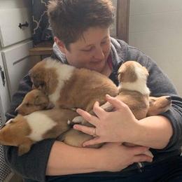 Collie Puppies from DuLac Collies