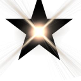 Yorkshire Terrier puppies from Rising Star Kennels