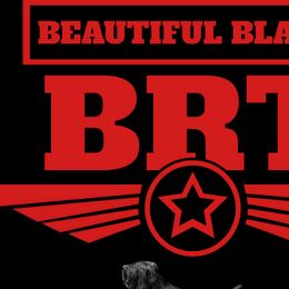 Black Russian Terriers from Beautiful Black Russian Terriers