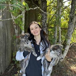 Silken Windhound Puppies from Luminous Silken Windhounds