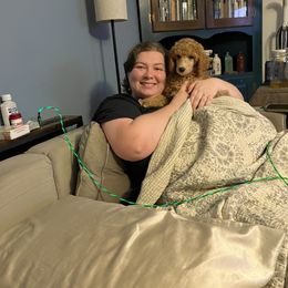 Poodle Puppies from Pawsable Prospects