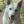 Unnamed