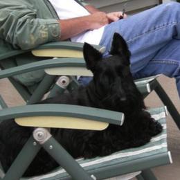 Scottish Terriers from Fairway Scottish Terriers