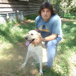 Labrador Retrievers from Edward Swantkoski