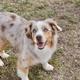 Spur