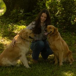 Golden Retriever puppies from Magnolia Farm