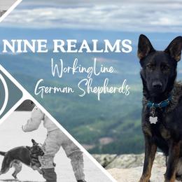 German Shepherds from Nine Realms German Shepherds