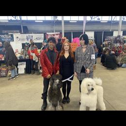 Poodle All Grown Up from Purley Poodles