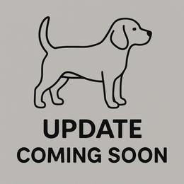 Under Merlins Spell - Beagle
