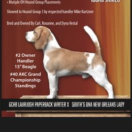 Isaac - Beagle
