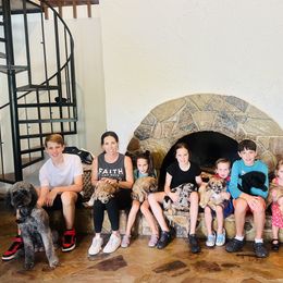 Aussiedoodle Puppies from The Ocala Doodle Ranch