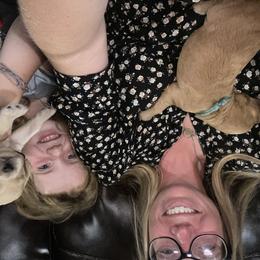 Goldendoodle Puppies from North Star Dog Training